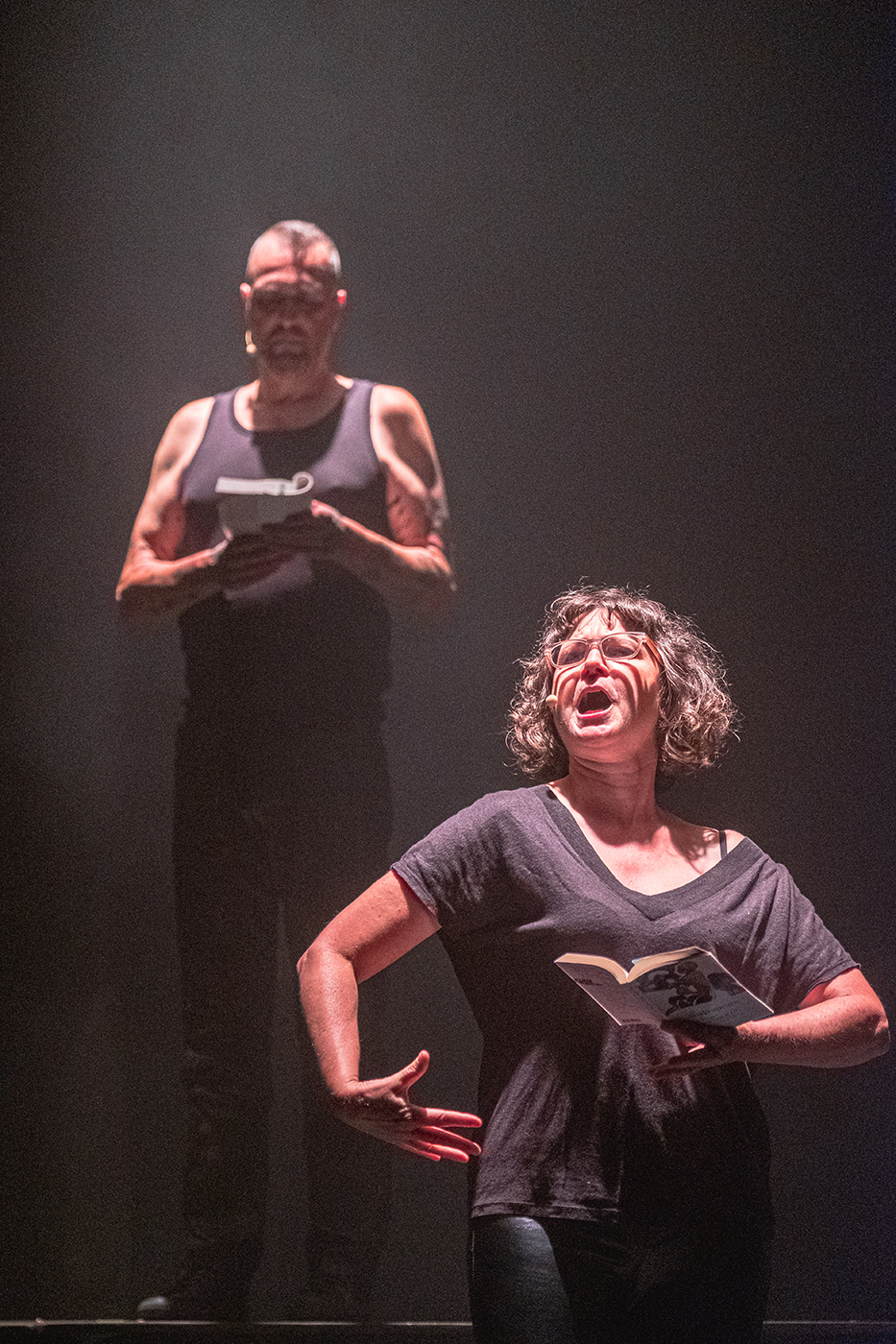"Shakespeare or not Shakespeare" Les Faussaires de la Lily - 12/09/2025